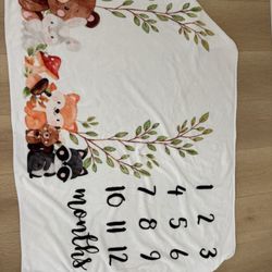 Baby Month Blanket