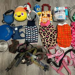 Dog Accessories Bundle