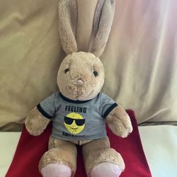 Build-A-Bear 15” Long Ears Rabbit Plush with Smiley Tee