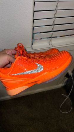 Kobe 6s