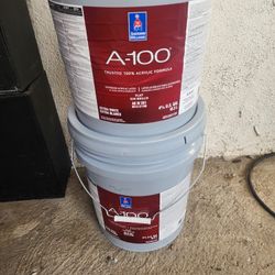 Pintura Blanca Nueva 