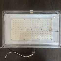 Amax Led Outdoor Light