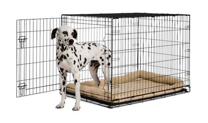 42 inch wire dog crate