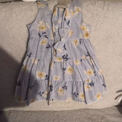 Toddler ~Little Girls Dress Set