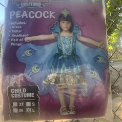 Peacock New