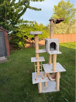 Cat towers