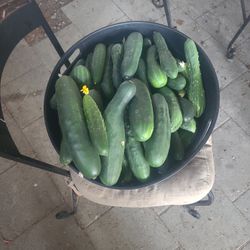 cucumbers