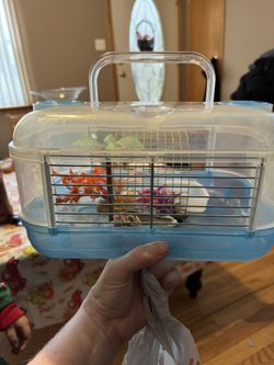 Hermit Crab Cage