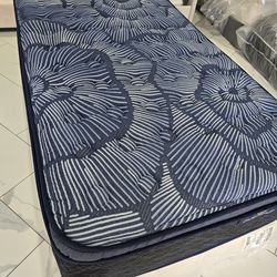 Twin Sizes Mattress and Box Spring