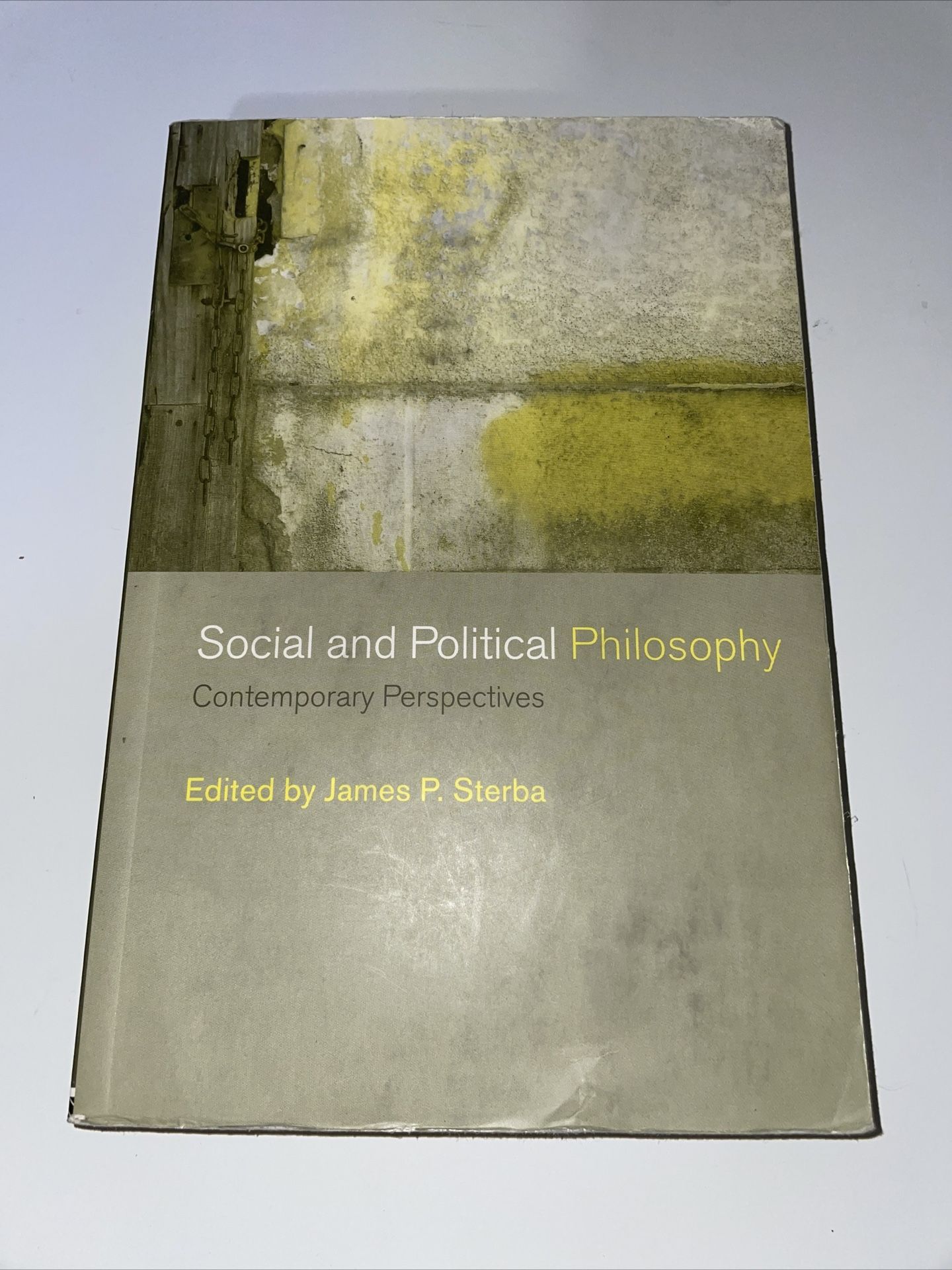 Social and Political Philosophy : Contemporary Perspectives, Paperback by Ste...