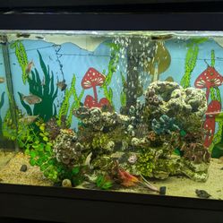 Fish Tank
