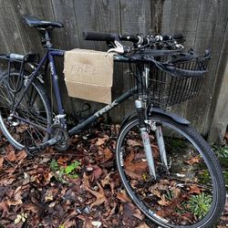 Free Bicycle 