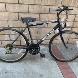 Mountain Bike triton mega power