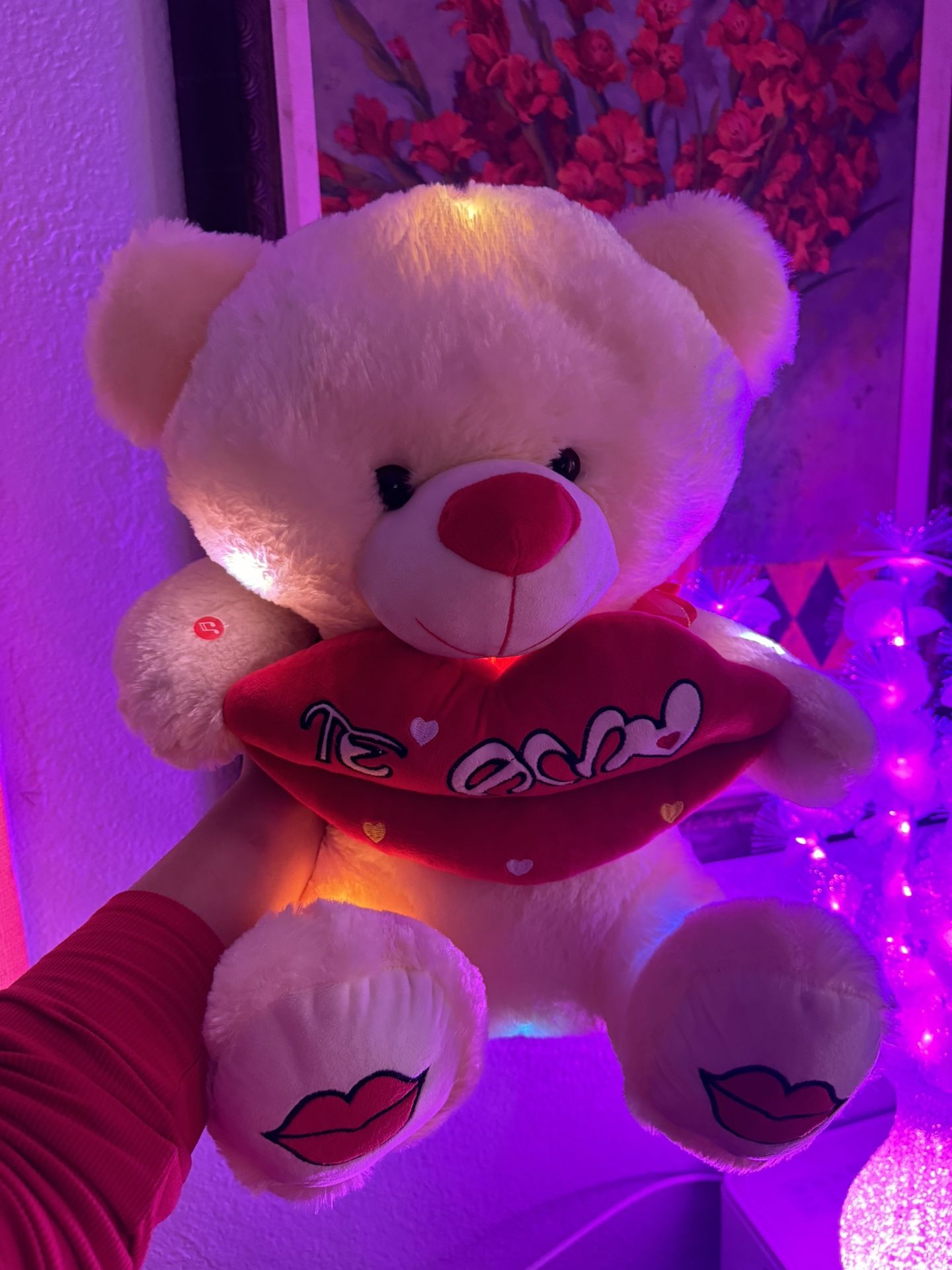Valentine’s Day, Teddy Bear Gift With Lights And Music New