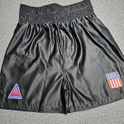 Iron Mike Tyson "90s Boxing Shorts"