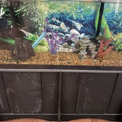 Fish Tank With Everything And 2 Pumps
