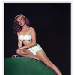 Norma Jean Aka Marilyn Monroe 