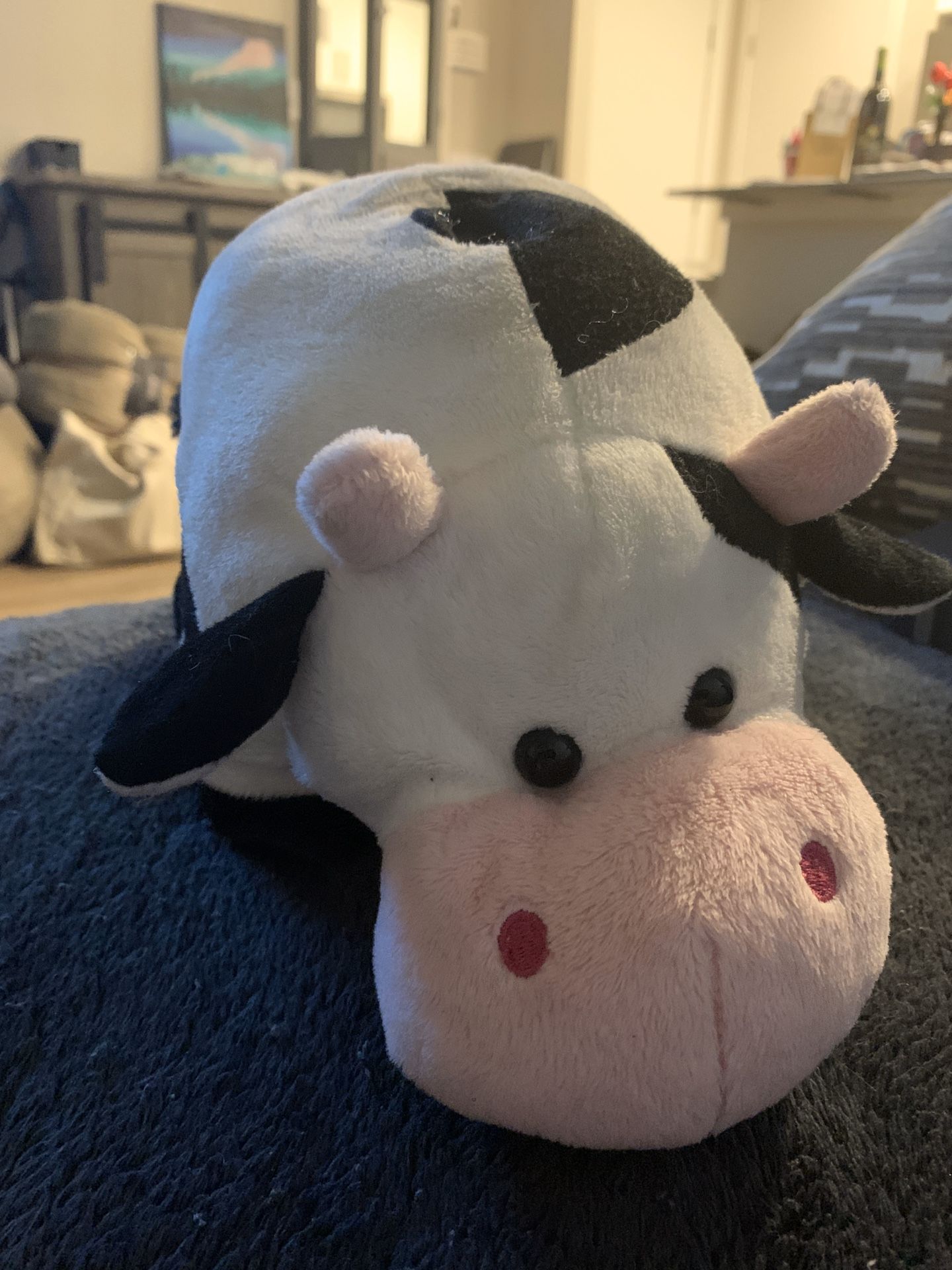 Cow piggy bank