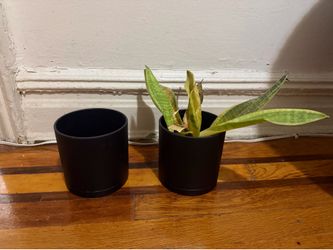 Planter