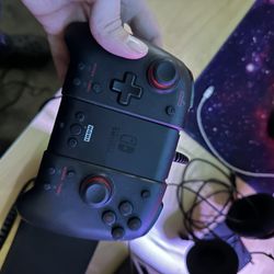 Nintendo Switch Controller 