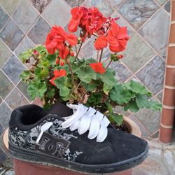 DC Gavaler Skull Shoes