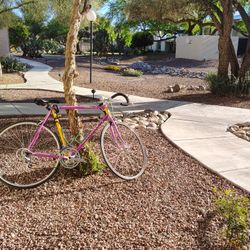 Bikes