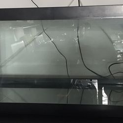 Fish Tank With All Accessories 