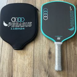 11six24 Pegasus All Court. Brand New!