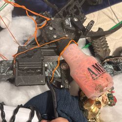 Retriever For Bow Fishing 