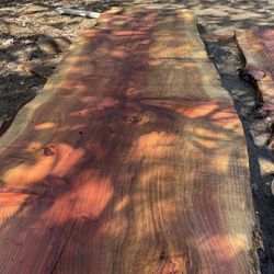 Massive Redwood Live Edge Slabs 