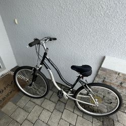 Schwinn Cruiser   