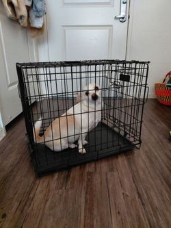 Fur baby crate.
