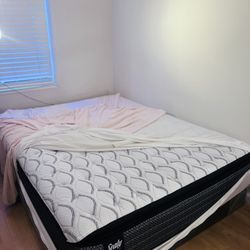 Moving Sell- Extremely Clean Sealy Mattress and Casper foundation - Queen