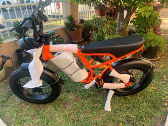 NEW BLUVALL ELECTRIC BIKE