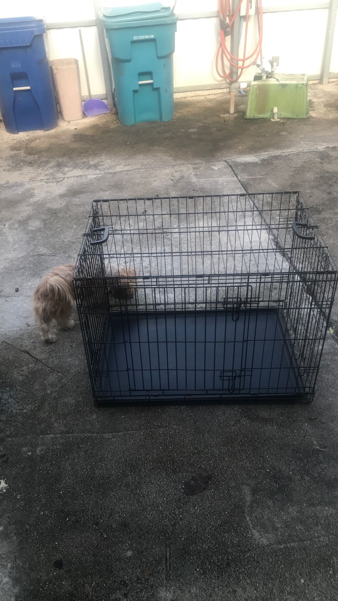 Jaula Para Mascota
