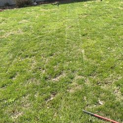 Grass Cutting