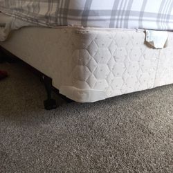 Queen Bad Frame And Box Spring Free