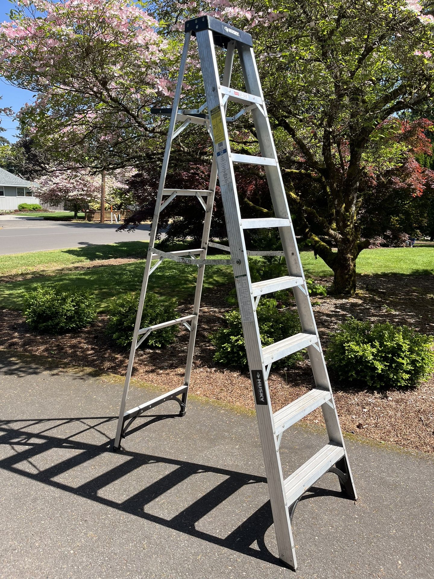 Step Ladder (8ft)