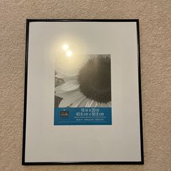 Frames Black 16x20. Sammamish, Beaver Lake 