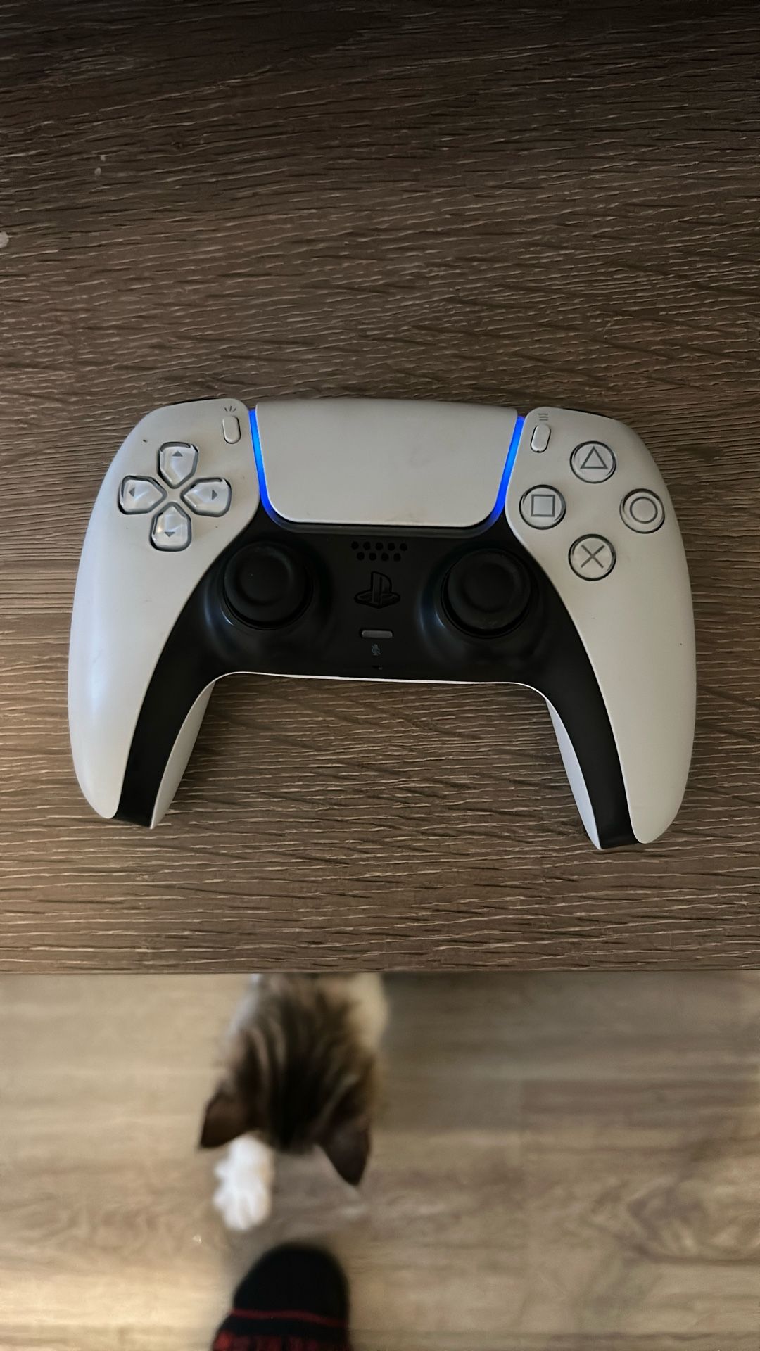 Ps5 Controller