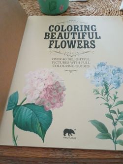 Adult Coloring Book 40 Color Illustrations 40 Pages to Color NEW