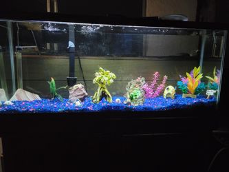 Fish Tanks Aquariums Ponds Stands And More 