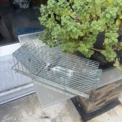 Small Animal 🪤 Trap 