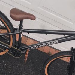 Cannondale Dave Dirt Jumper