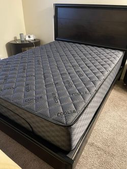 New  Mattresses! Big Discounts