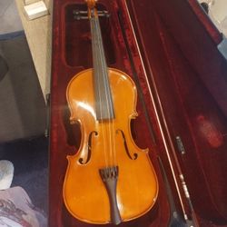 Beginner's Mahogany Violin Set
