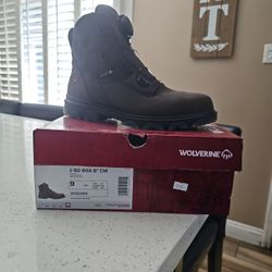 Men Shoes