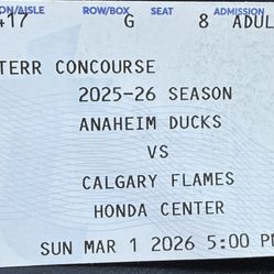 2 Anaheim Ducks Game Tickets