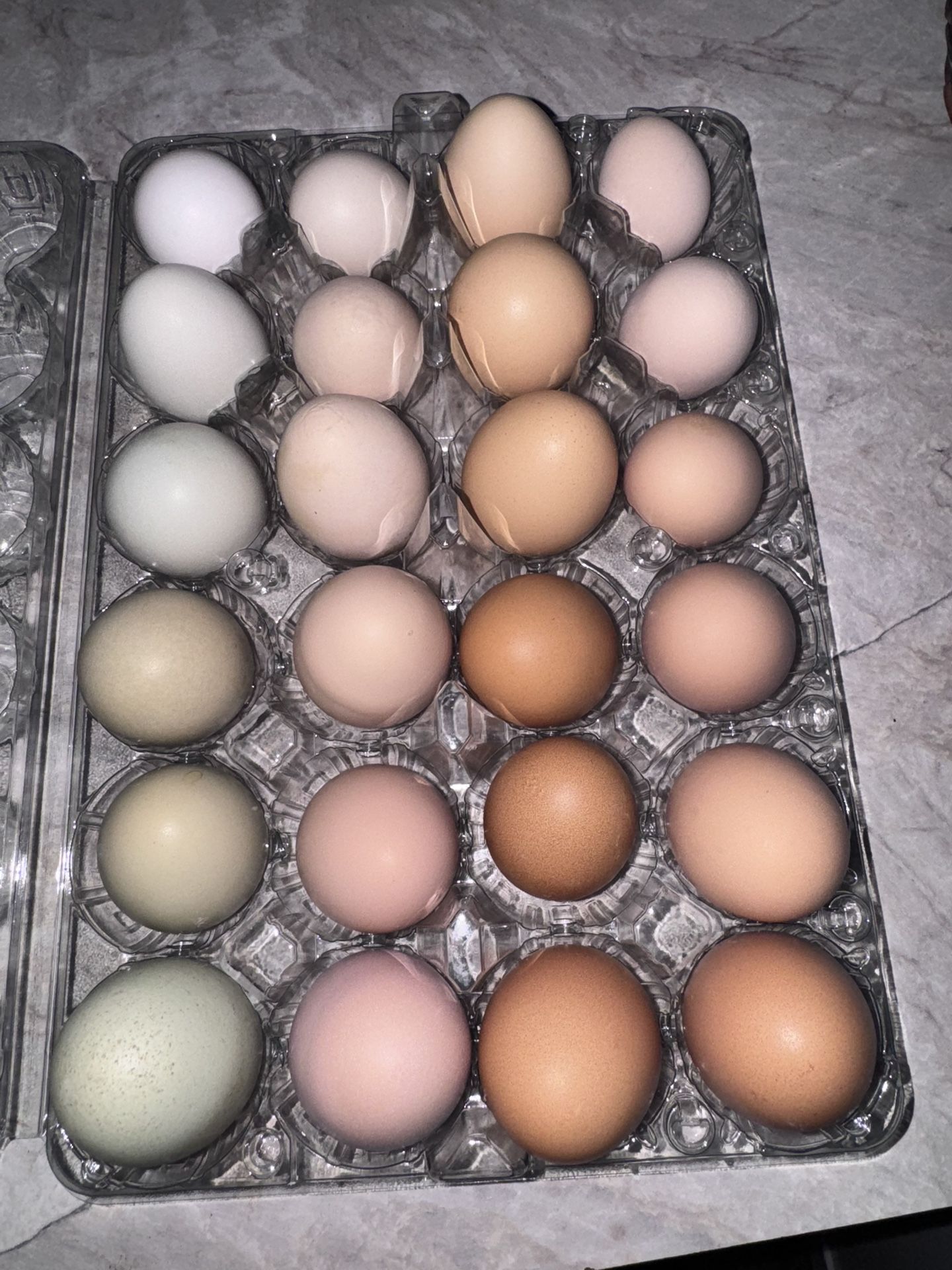 Fresh Backyard Chicken Eggs