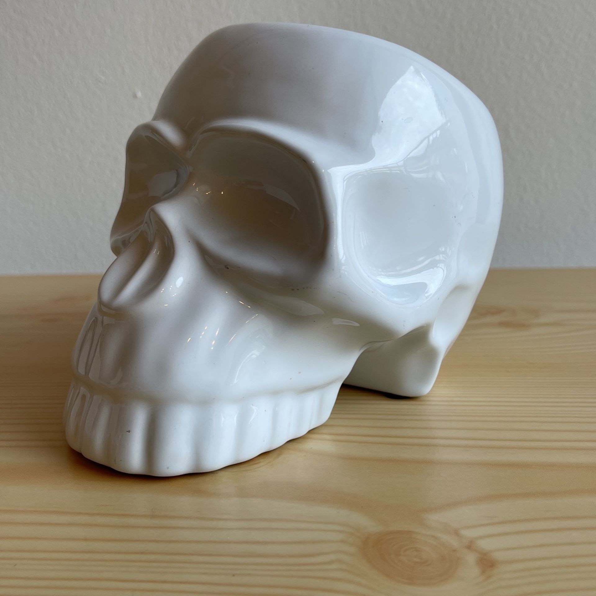 Plant Holder Skull